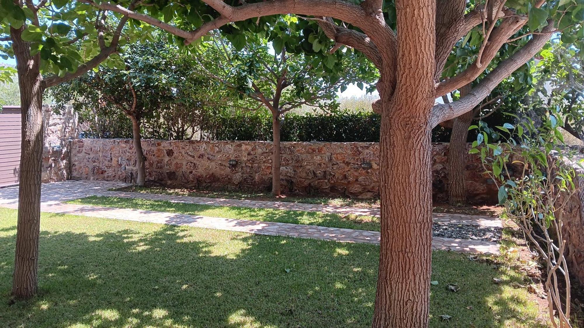 Sounion Green Retreat Екстер'єр фото